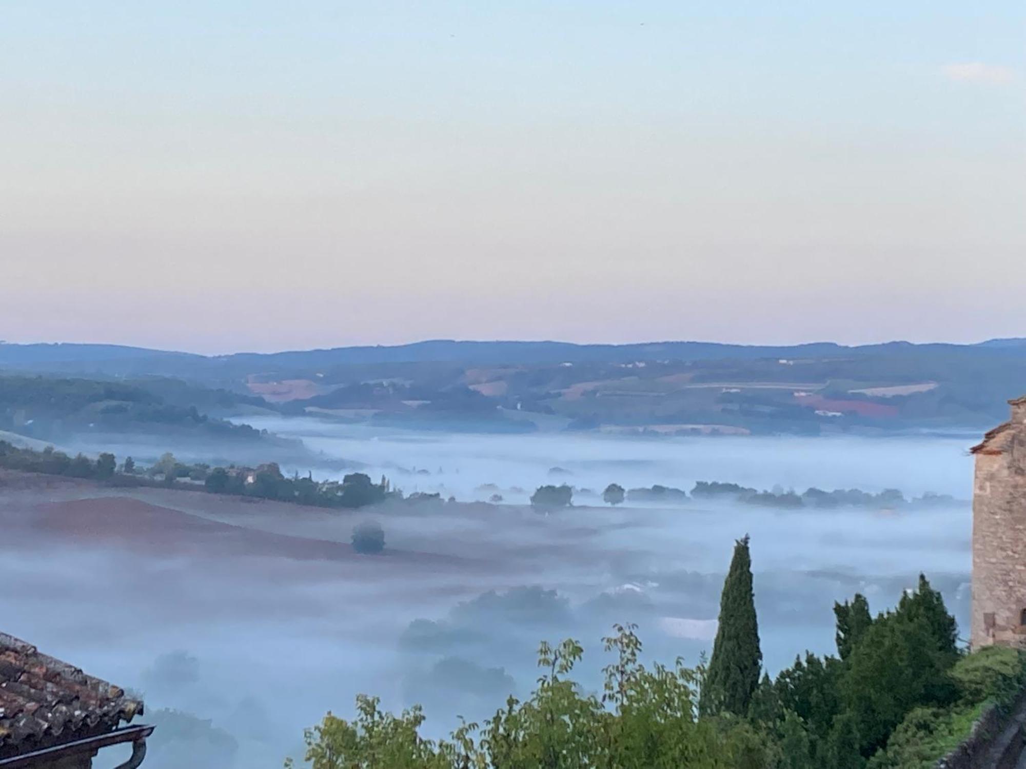 Le Secret Du Chat Cordes Sur Ciel Exteriör bild